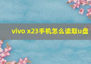 vivo x23手机怎么读取u盘